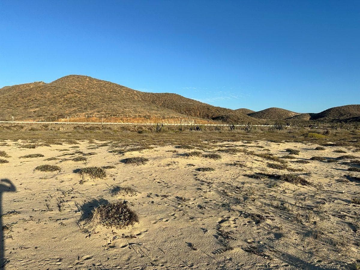 Beachfront Lot