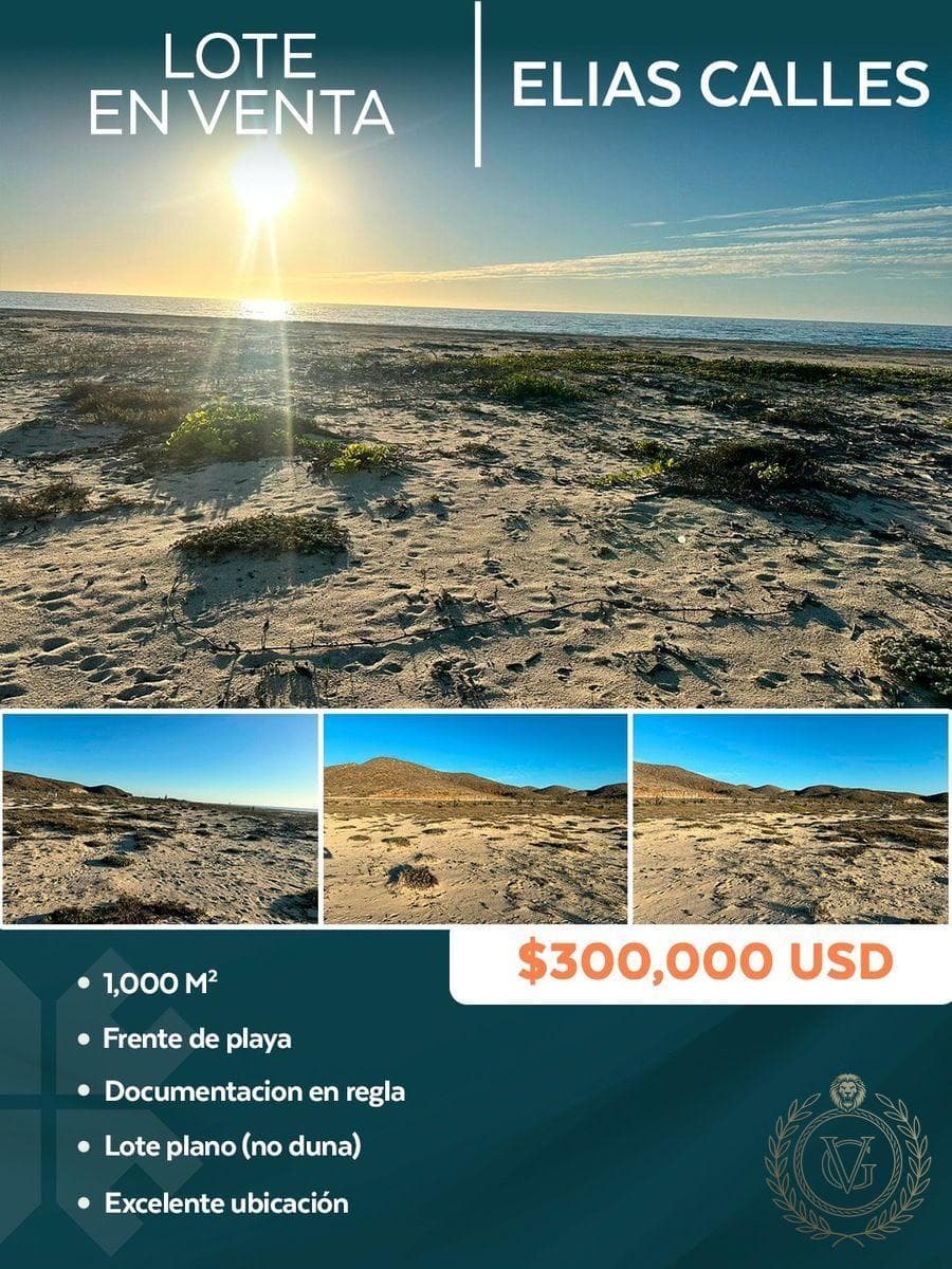 Beachfront Lot
