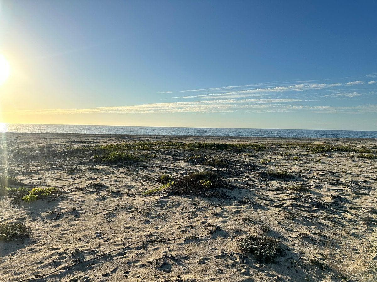 Beachfront Lot
