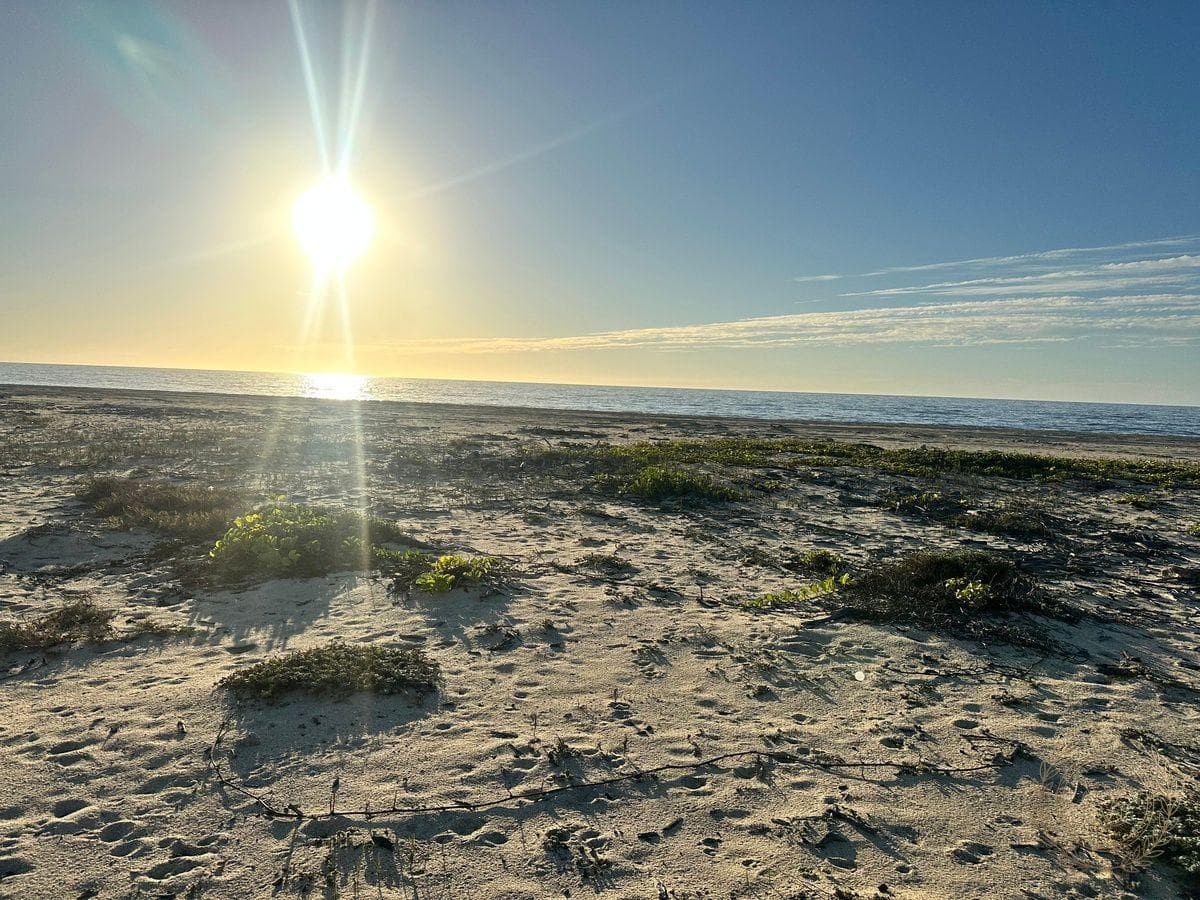 Beachfront Lot