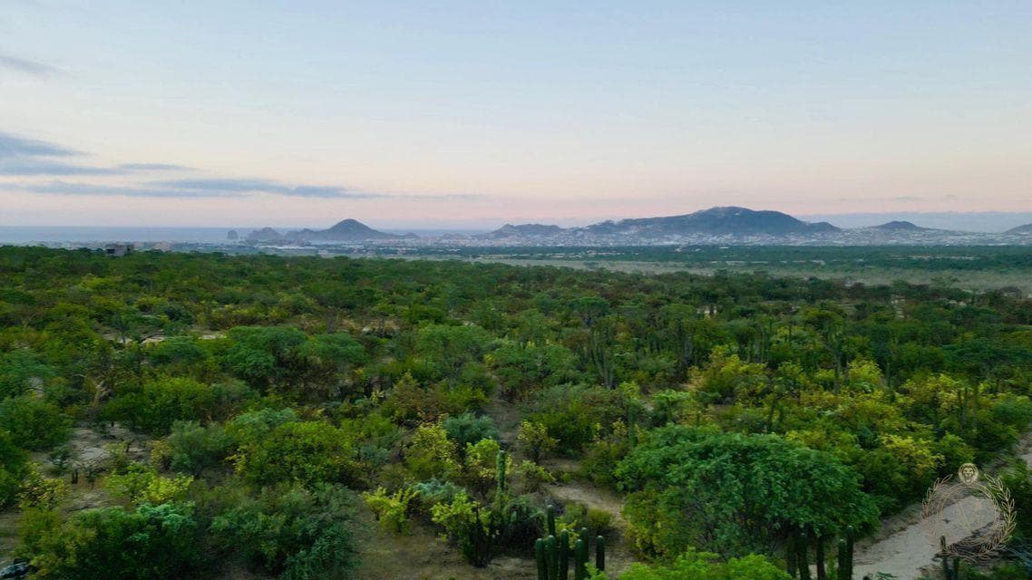 Ocean-View Paradise: 30,588 m² of Serenity!