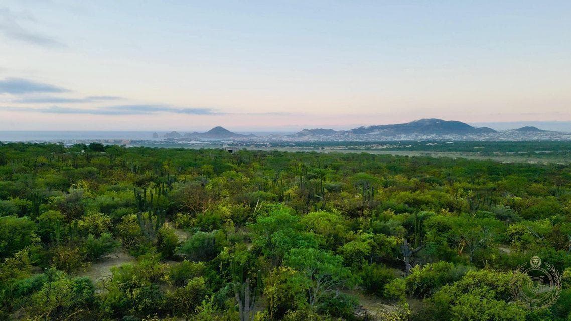 Ocean-View Paradise: 30,588 m² of Serenity!