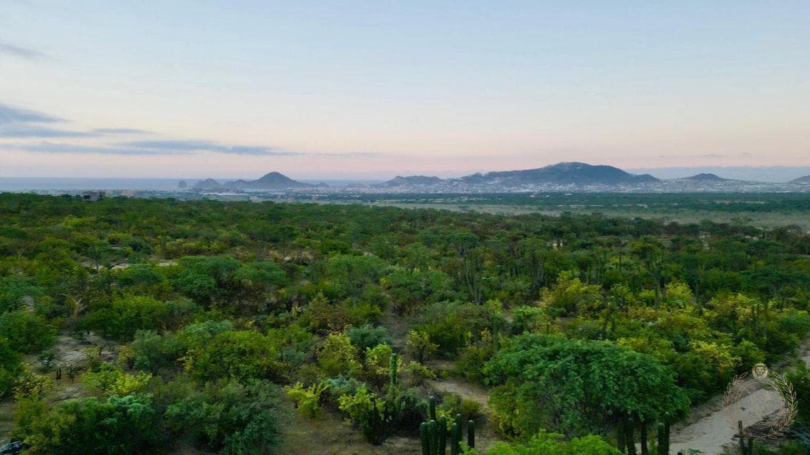 Ocean-View Paradise: 30,588 m² of Serenity!