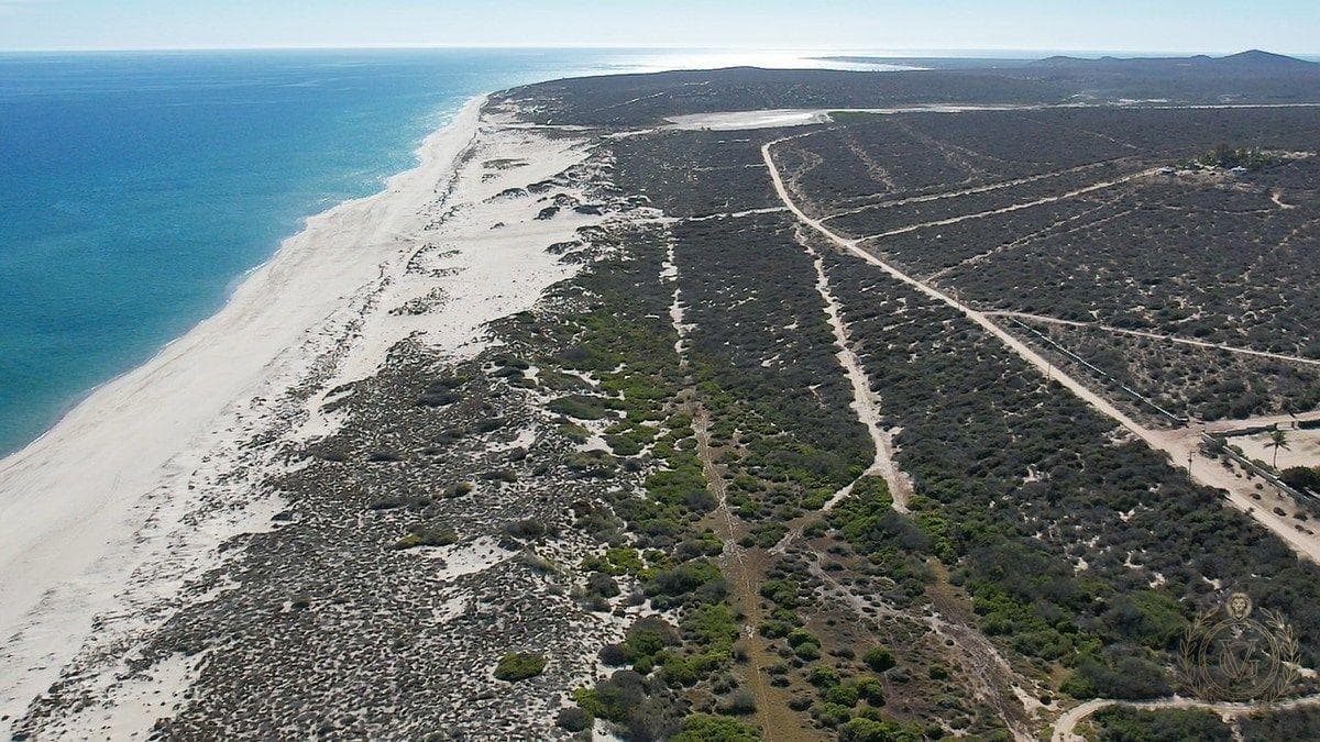 Land for Sale in Playa Colorada, La Ribera, East Cape, Los Cabos