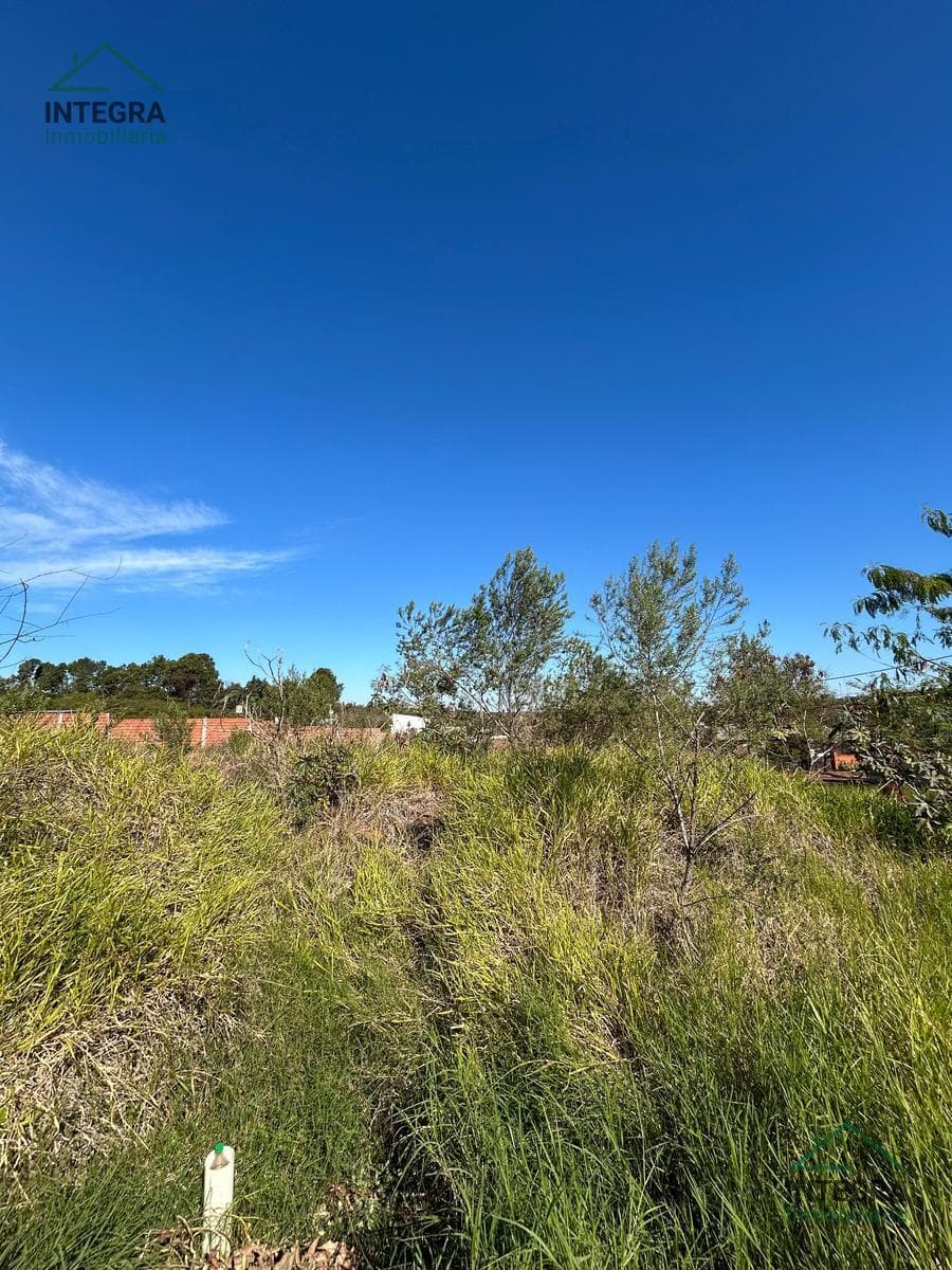 Excellent 305 m² Lot for Sale – Yatay Neighborhood, Posadas