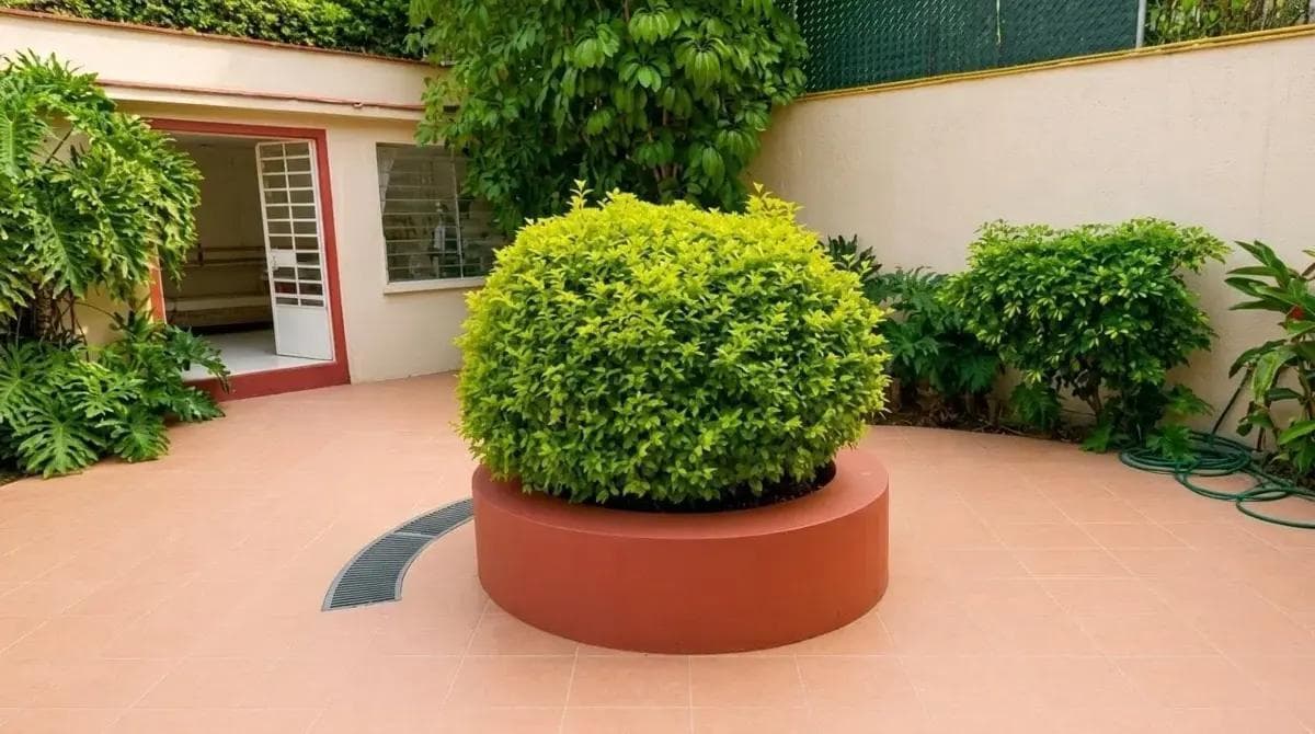 HOUSE FOR RENT IN LOMÁS HIPODROMO
