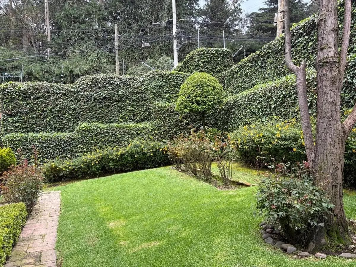 HOUSE FOR SALE IN CONTADERO, IN NEED OF RENOVATION