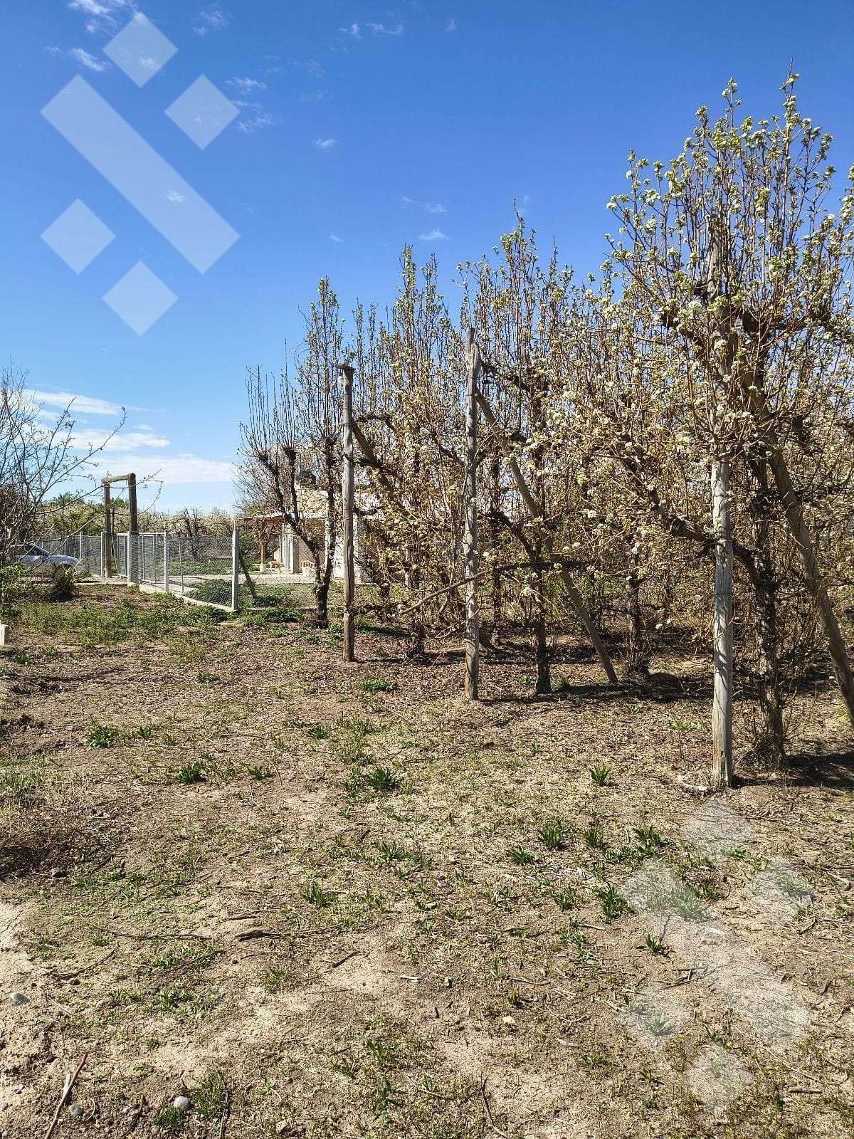2-BEDROOM FARMHOUSE FOR RENT - FERNANDEZ ORO