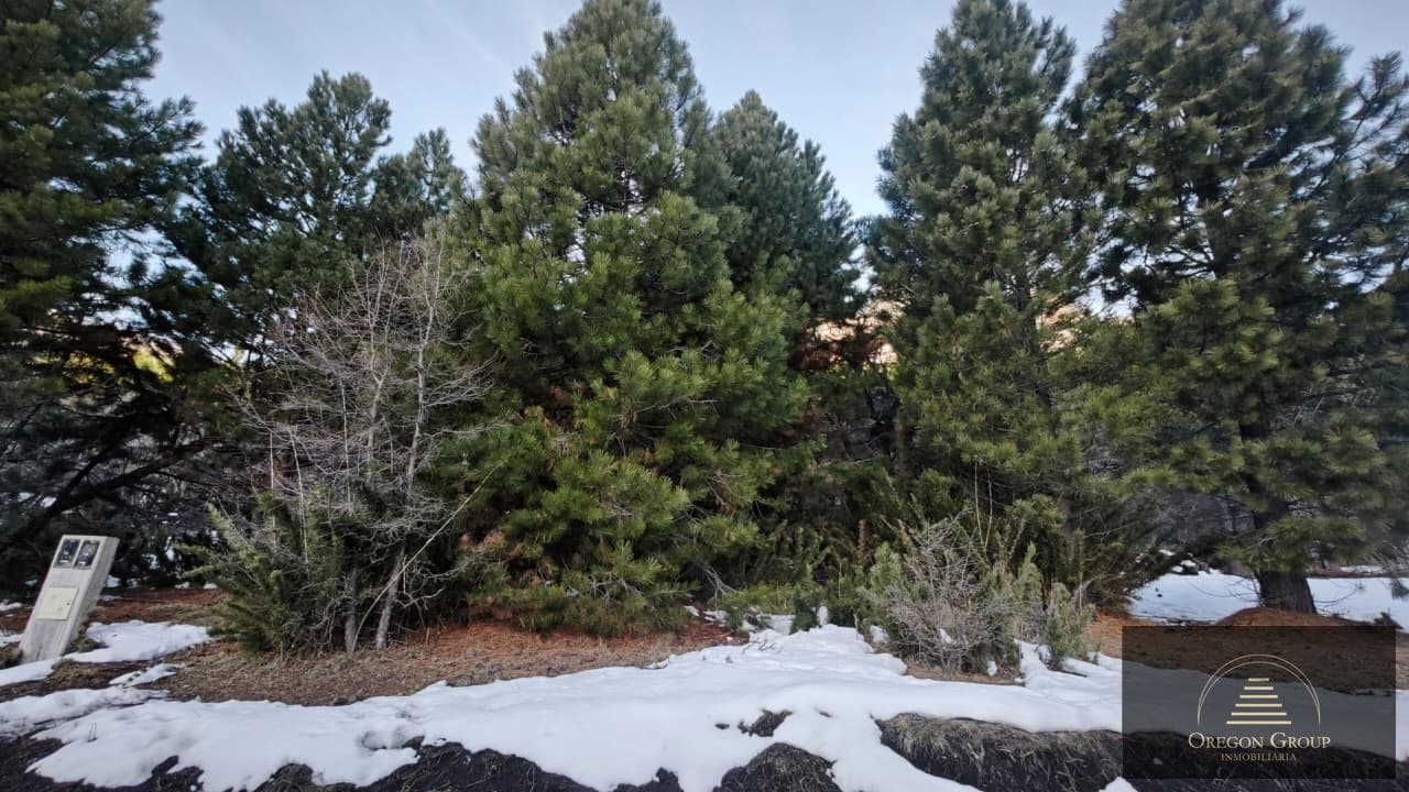 Land - San Martín de los Andes