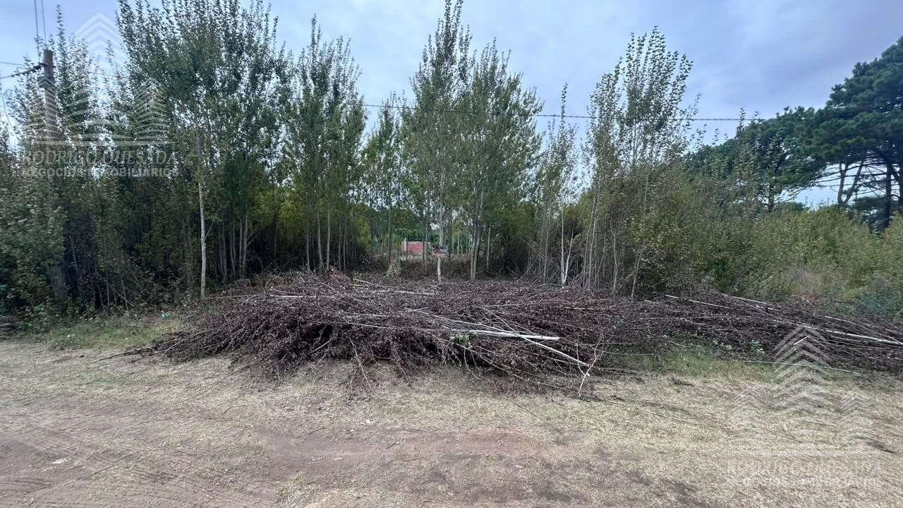 LARGE LOT IN NUEVA ATLANTIS!!! OPPORTUNITY!!!