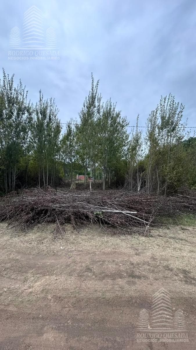 LARGE LOT IN NUEVA ATLANTIS!!! OPPORTUNITY!!!