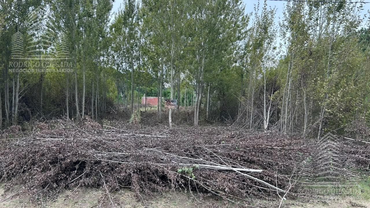 LARGE LOT IN NUEVA ATLANTIS!!! OPPORTUNITY!!!