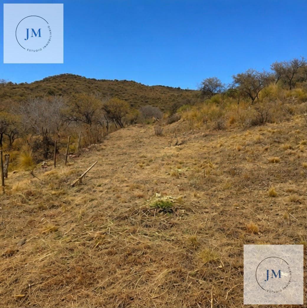 Land in Trapiche