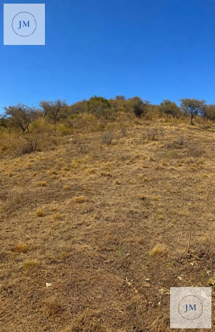 Land in Trapiche