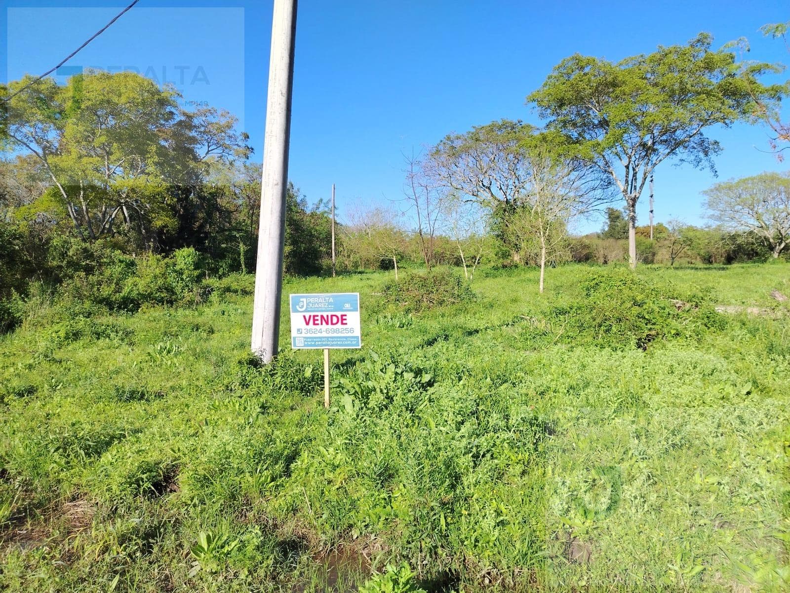 Land in the Municipal Nursery Area