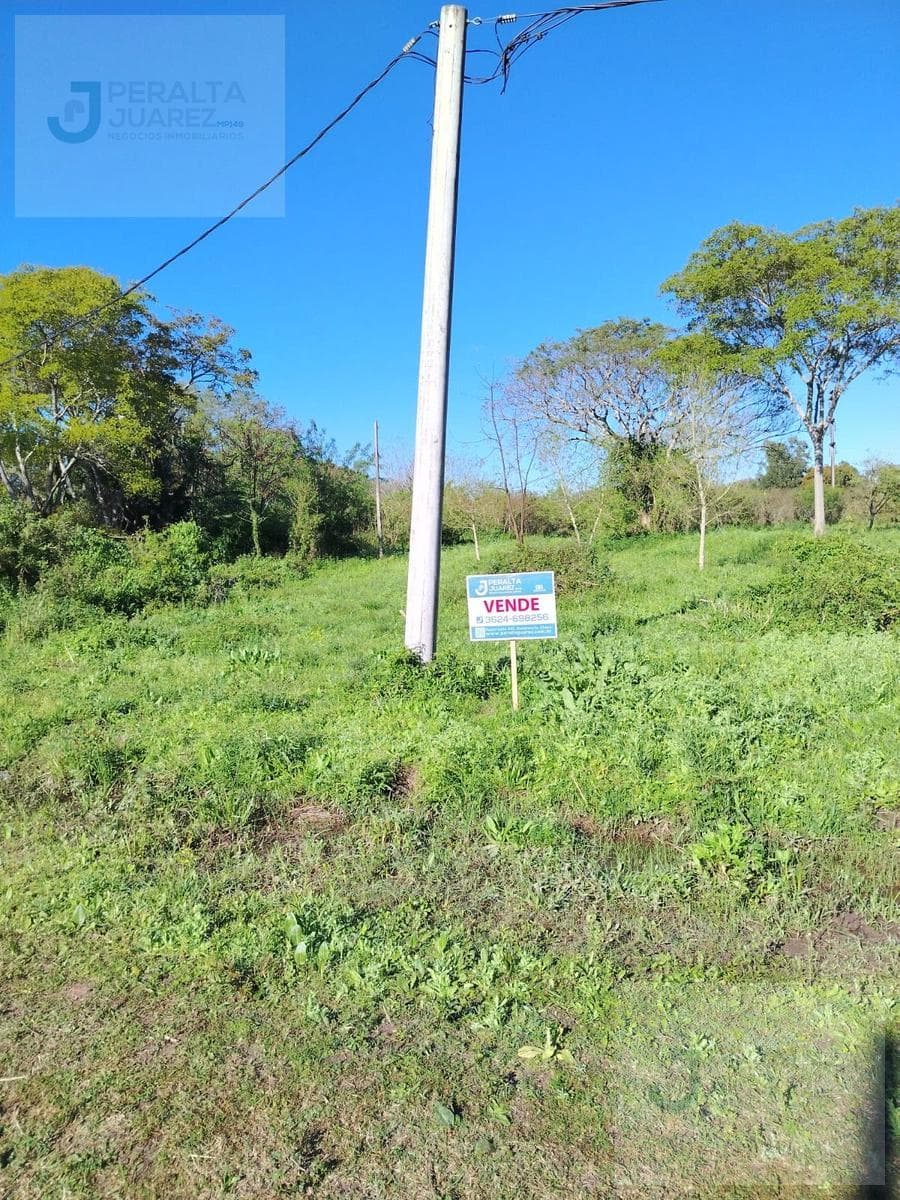 Land in the Municipal Nursery Area