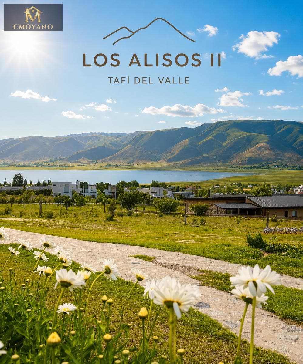 Land for Sale: LOS ALISOS II, Tafi del Valle