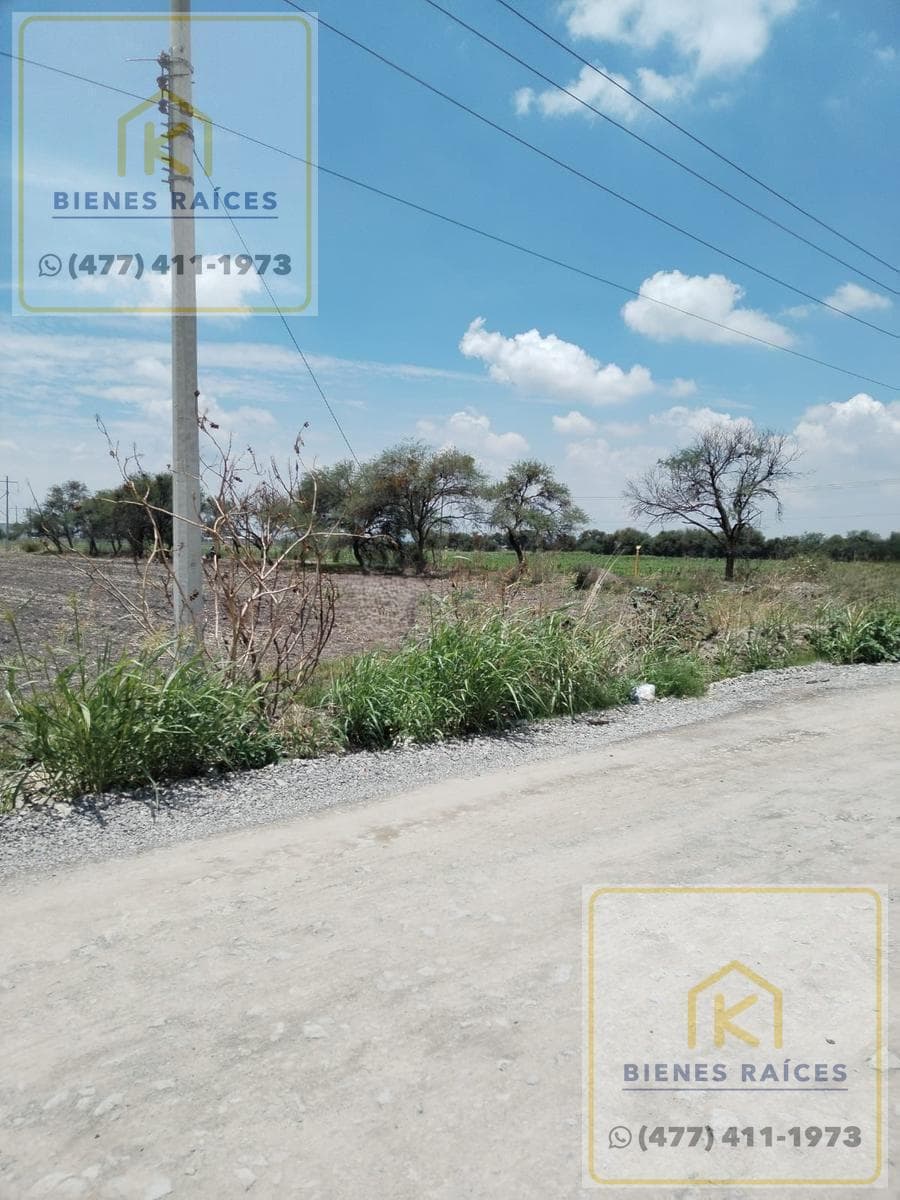 Land in Cd. Industrial
