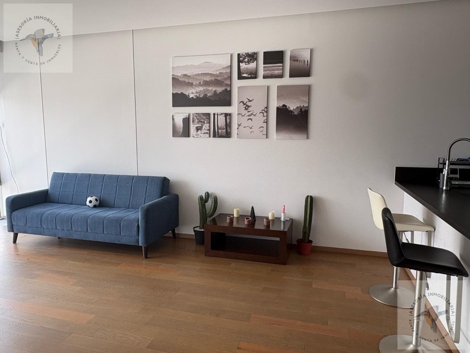 Furnished apartment for rent in High Park, Coyoacán, across from Gran Sur