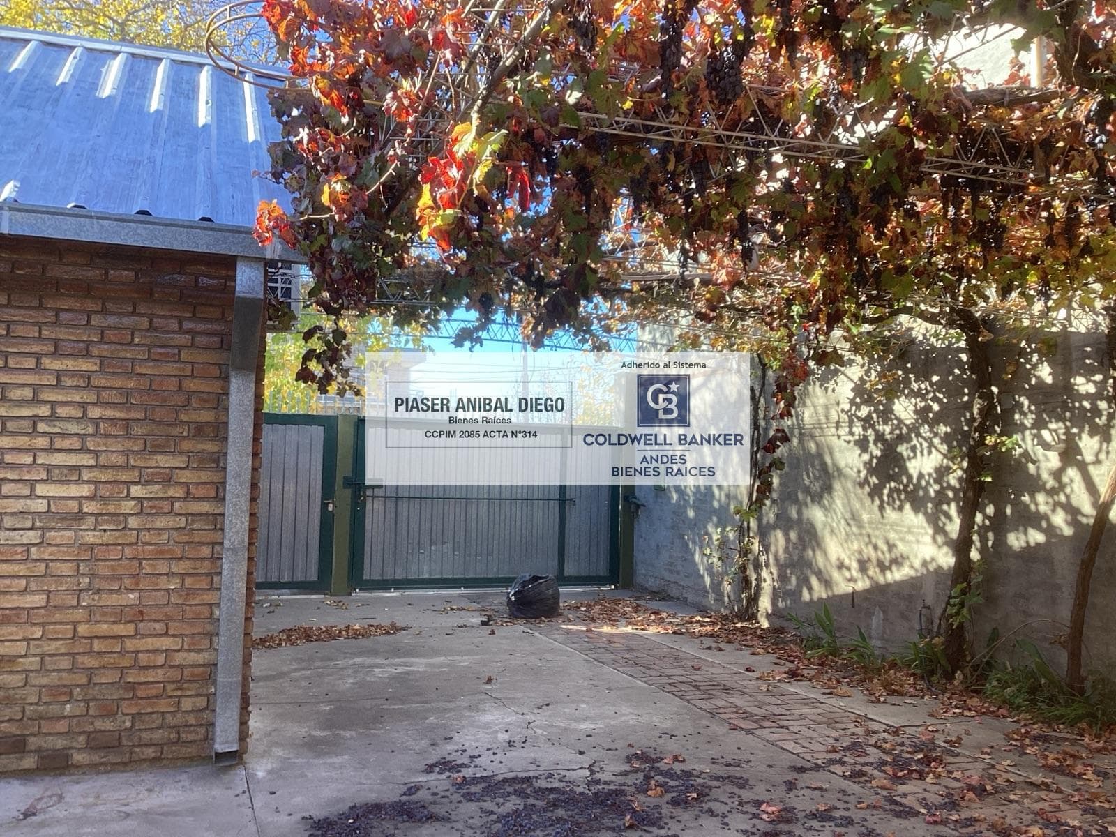 House - San Rafael