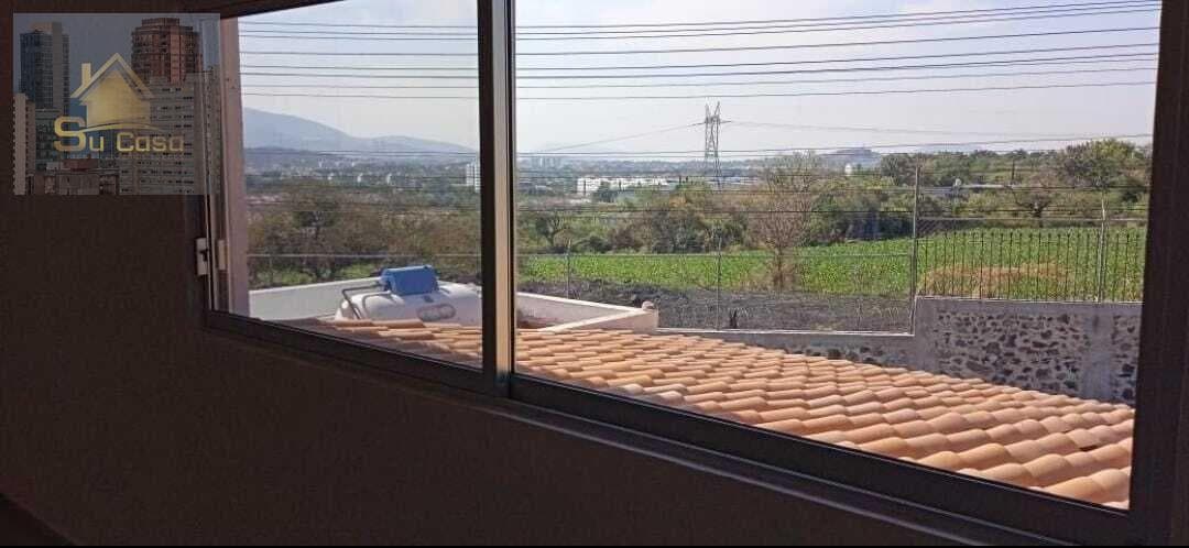 House in Burgos?