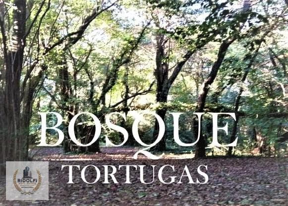 For Sale in Pozo with Financing | 2-Room Apartment | Bosque Tortugas