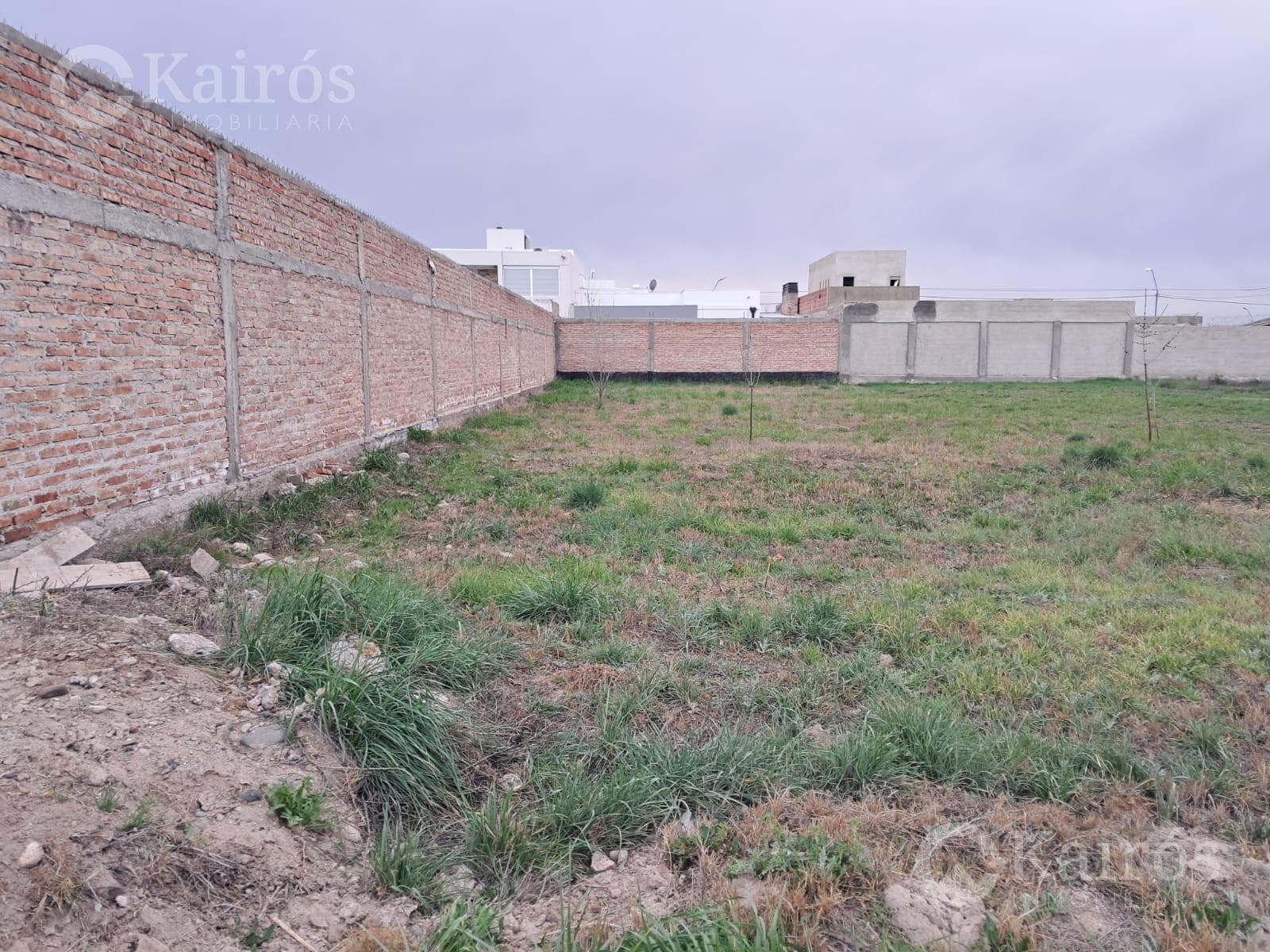 Land in General Roca