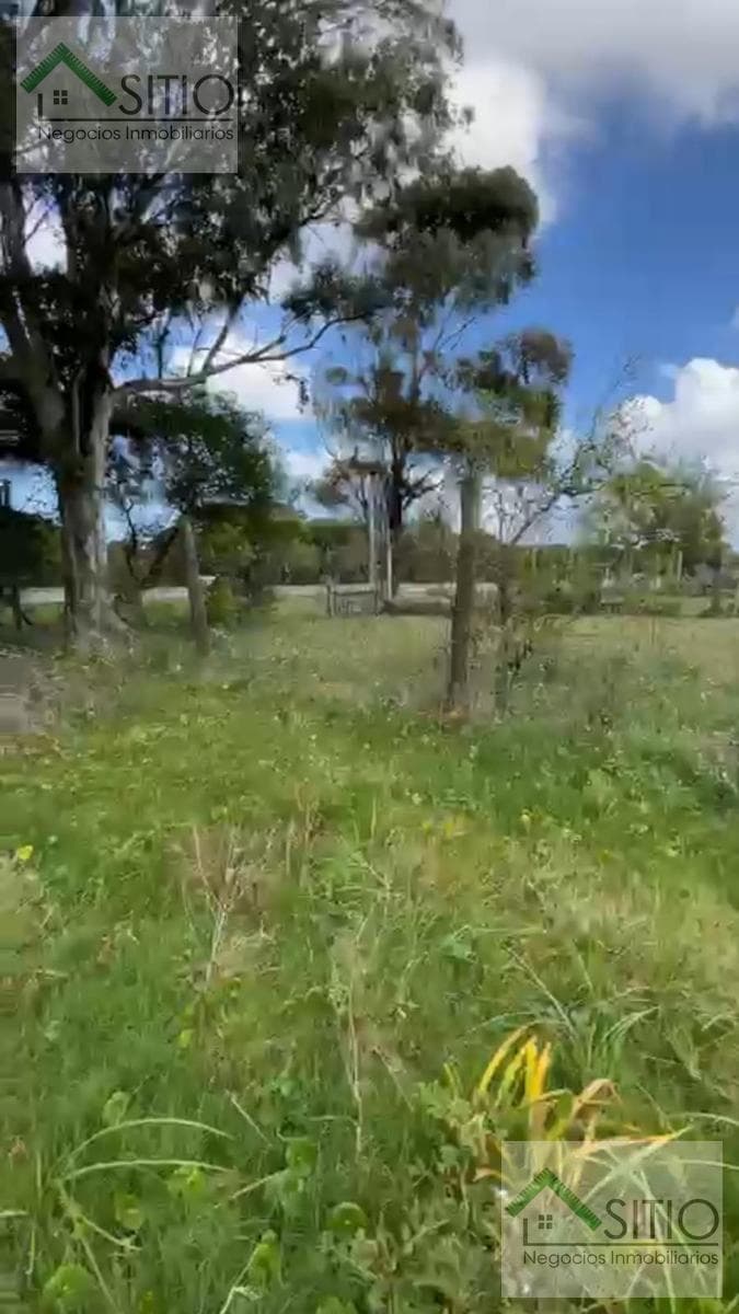 Land in Solymar