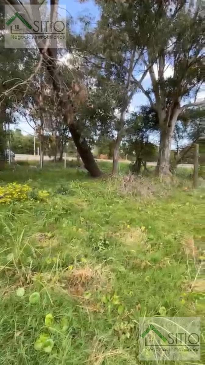 Land in Solymar
