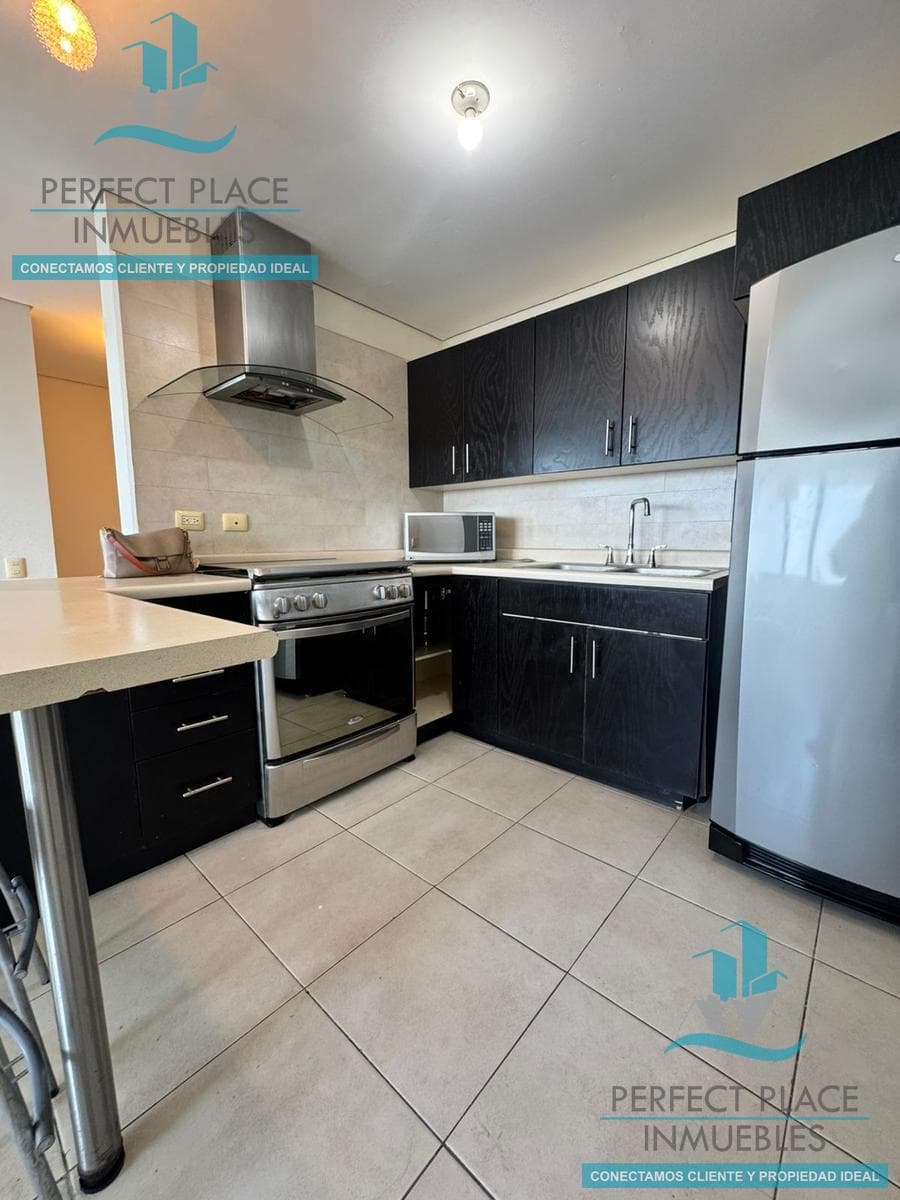 APARTMENT FOR RENT IN TORRE ICONOS