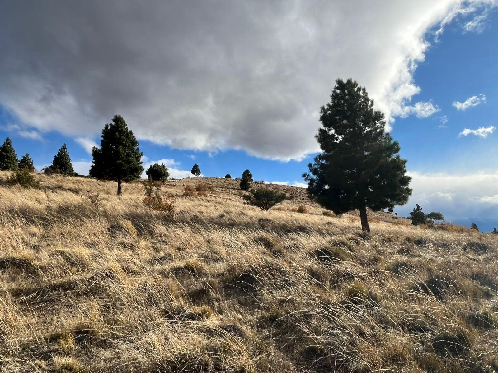 Land for Sale: Subdivided Lot with Survey in Trevelin, Chubut