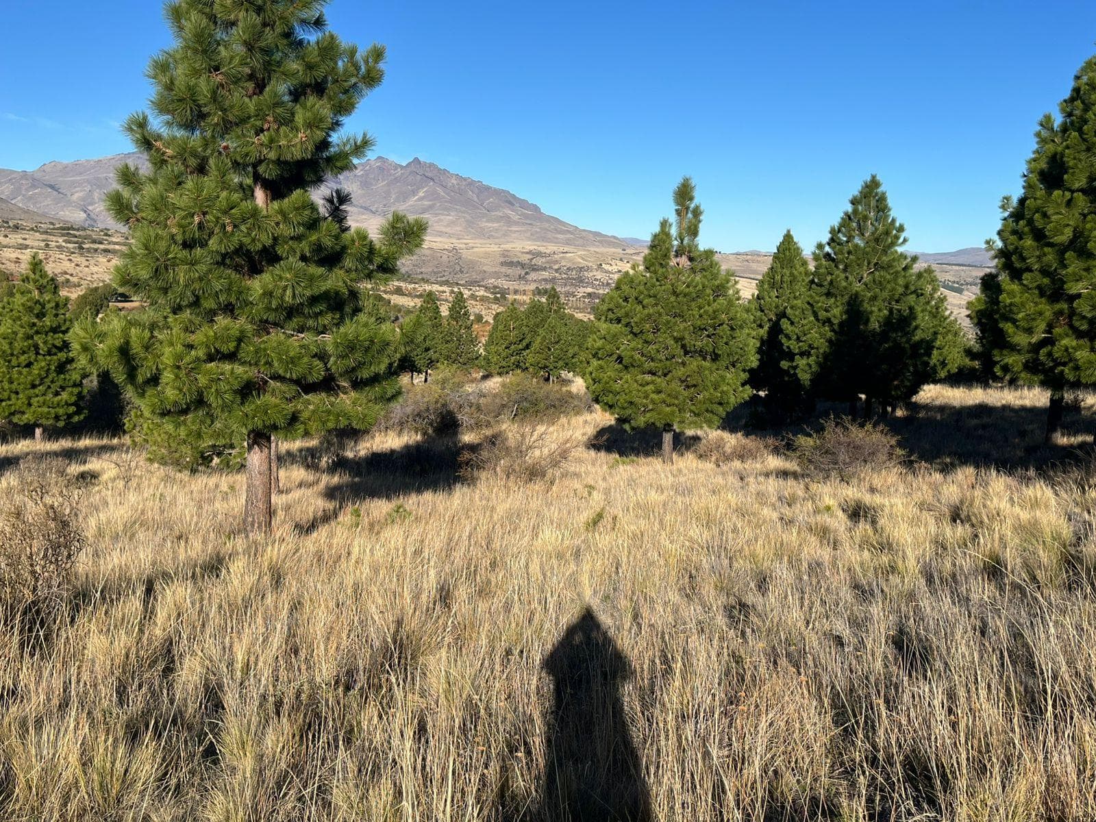 Land for Sale: Subdivided Lot with Survey in Trevelin, Chubut