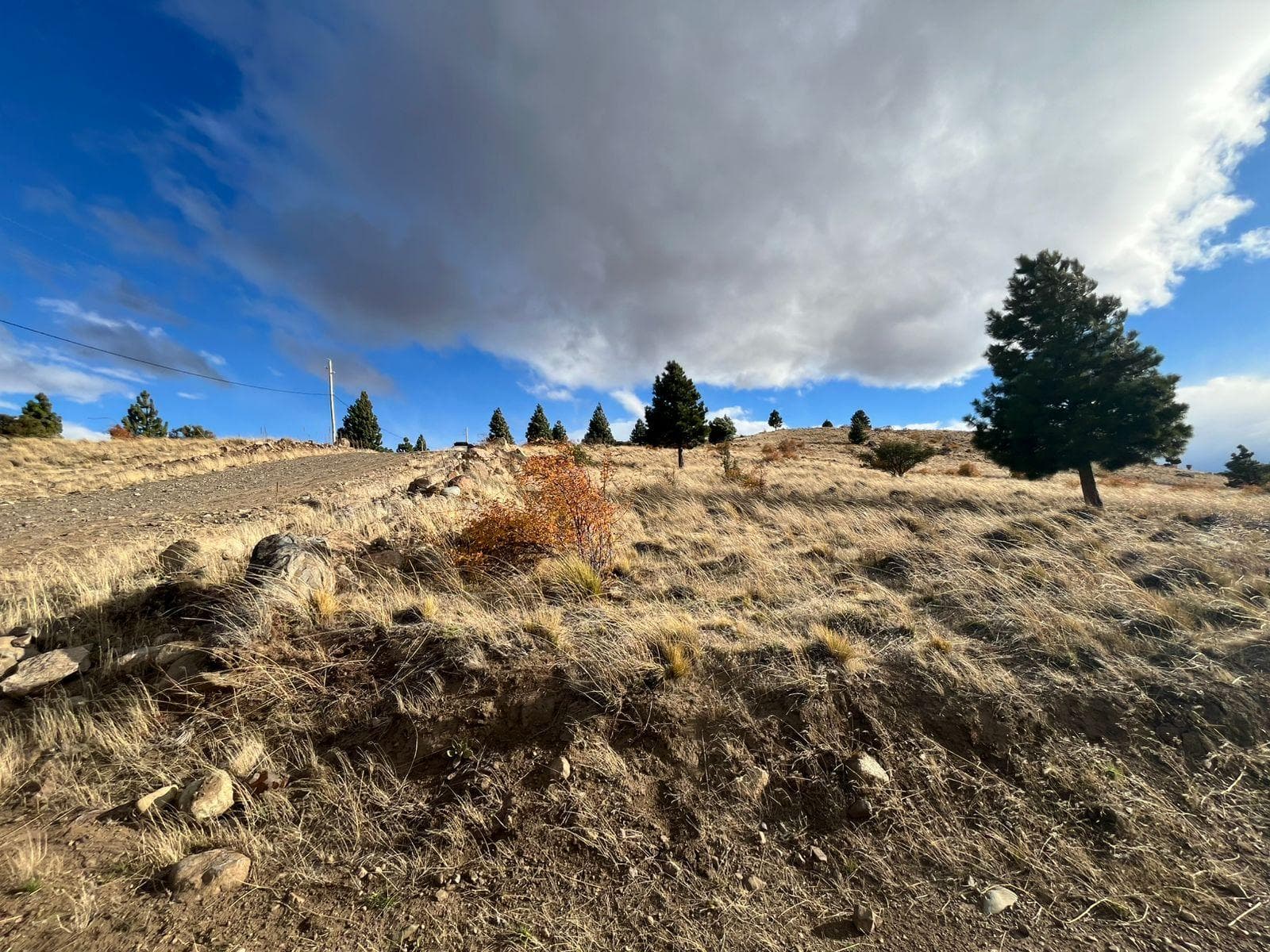 Land for Sale: Subdivided Lot with Survey in Trevelin, Chubut