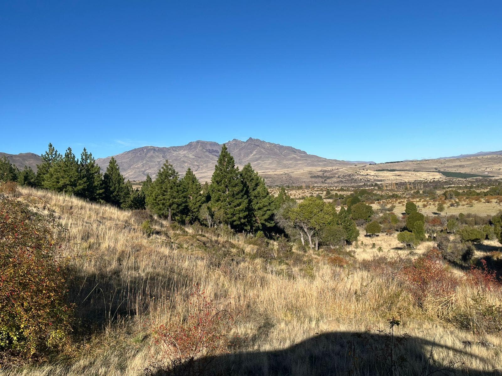 Land for Sale: Subdivided Lot with Survey in Trevelin, Chubut