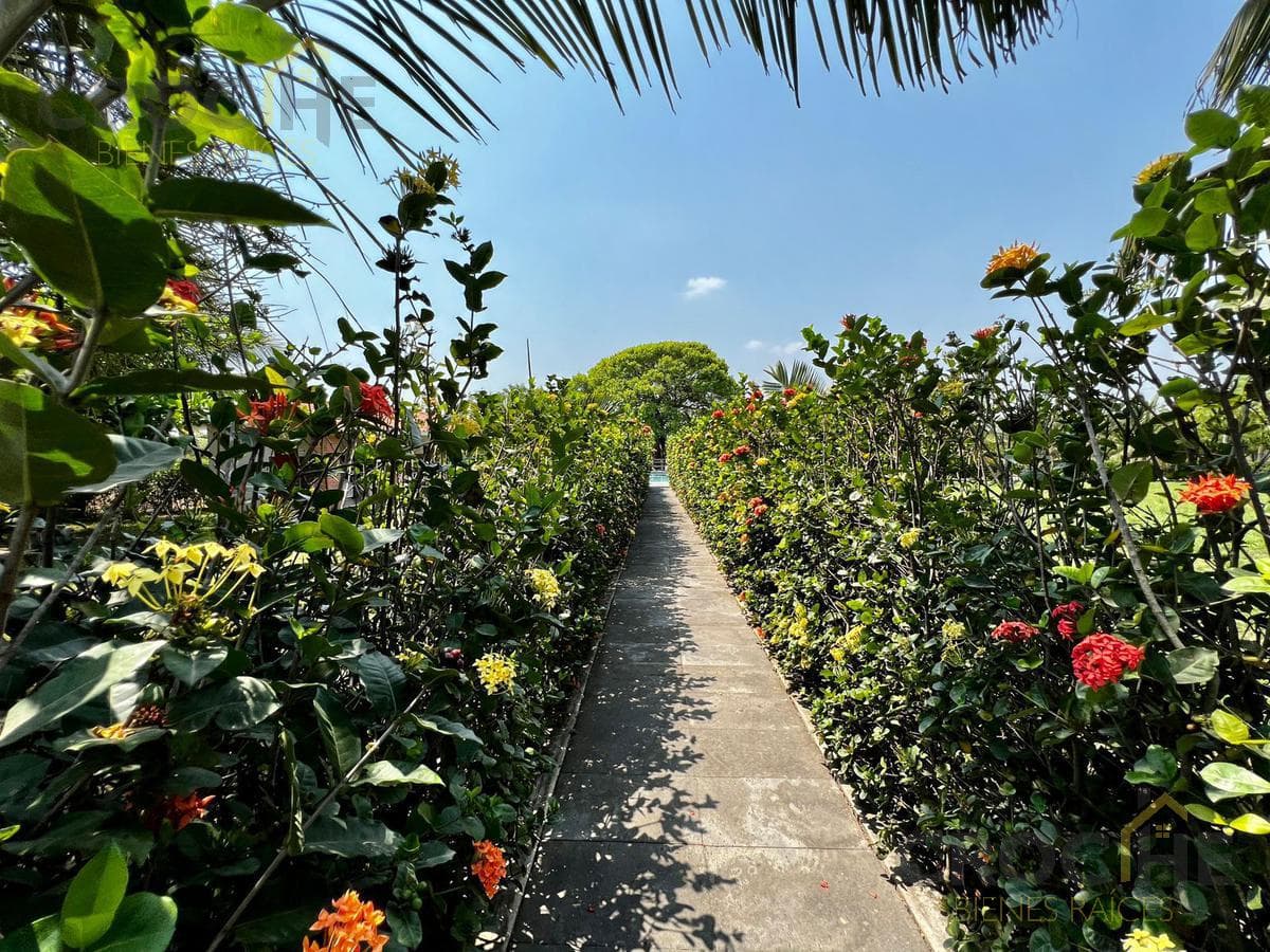 Lot with a pool and a palapa in Medellín, Veracruz