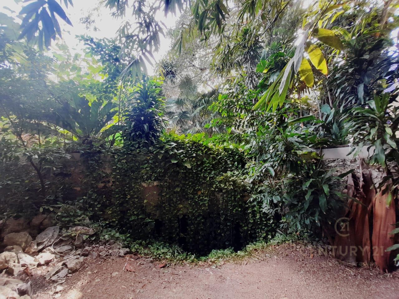 4-Bedroom House for Sale in Downtown Playa del Carmen | Ideal for Investment | P4101