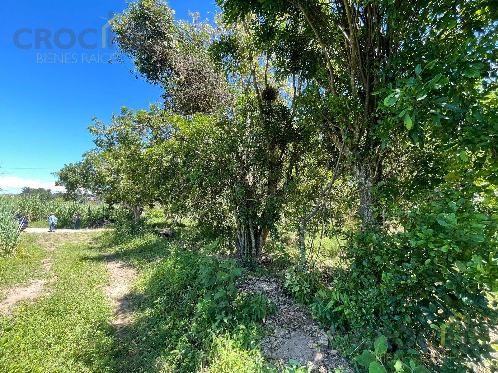 Land for sale in Castillo, Xalapa, Ver.