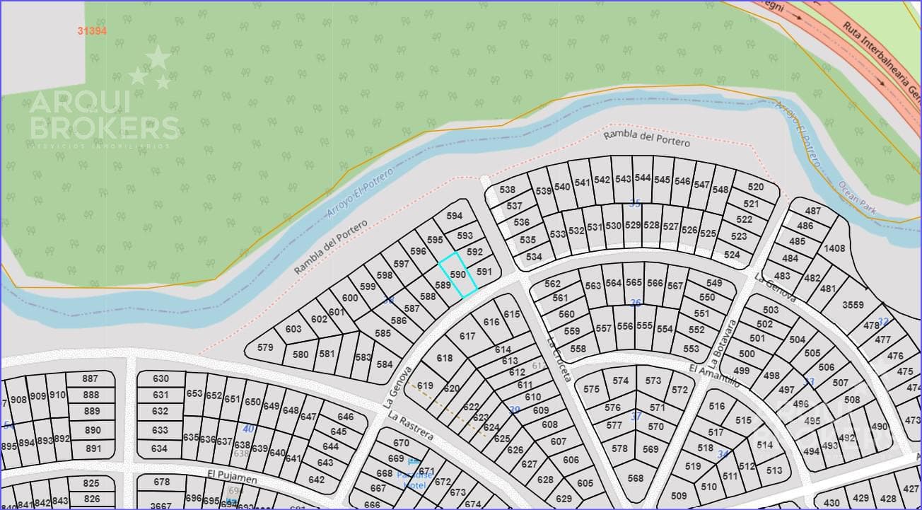 Land for Sale in Chihuahua
