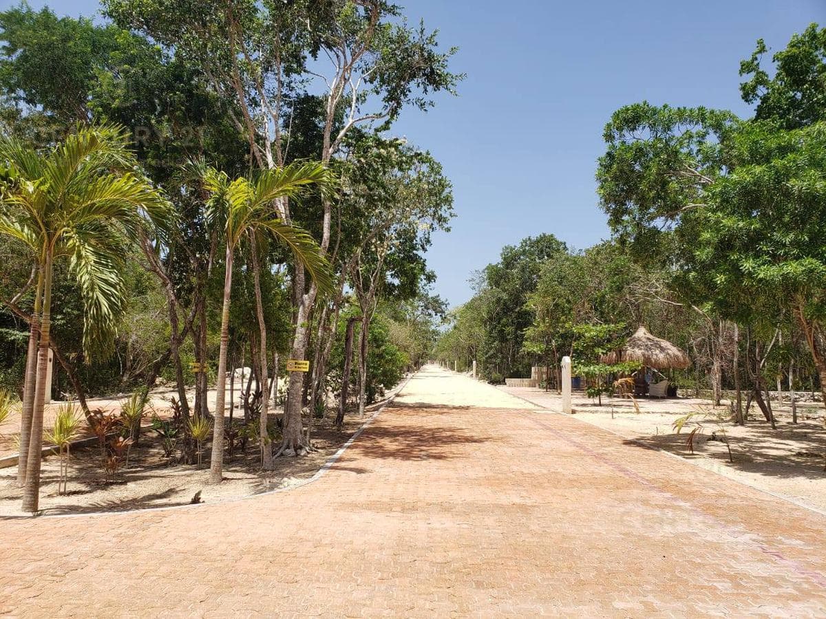 Lots for Sale in a Beautiful Residential Development in Xpu-Ha, Riviera Maya P2524