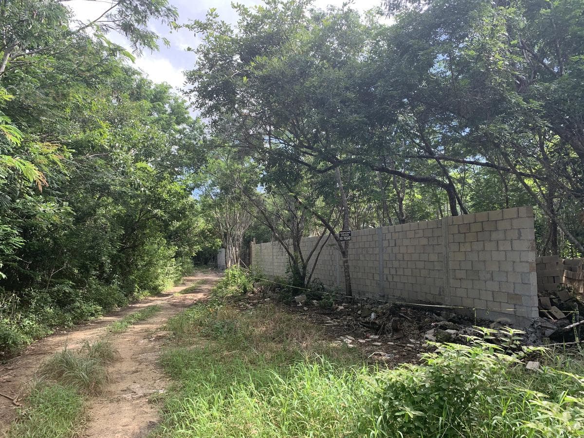 Residential Lot for Sale in Puerto Morelos | Spacious Lot Near the Mexican Caribbean | C3190