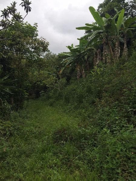 Land for sale in Xalapa, USBI area, Colonia Emiliano Zapata: 12,584 m²
