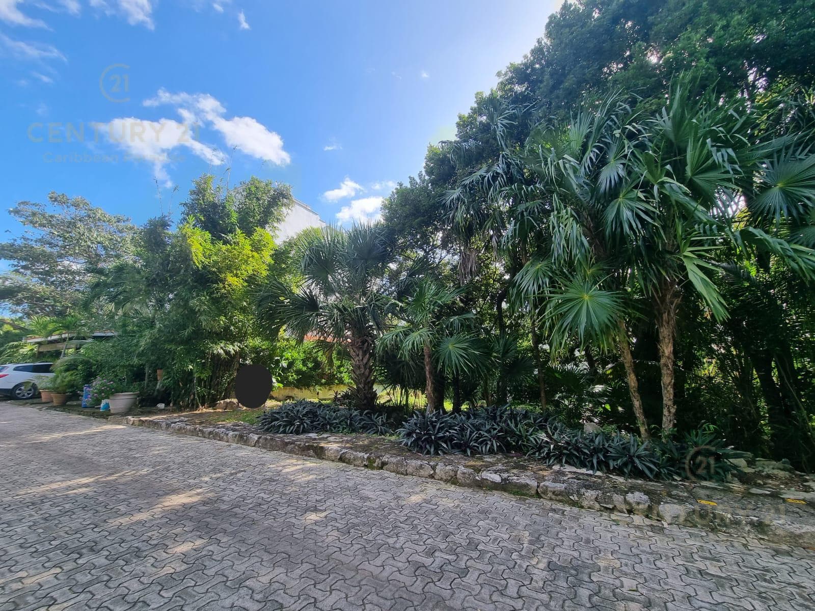 Great opportunity! Lot for sale in Playa Car Phase 1, Playa del Carmen, P4060