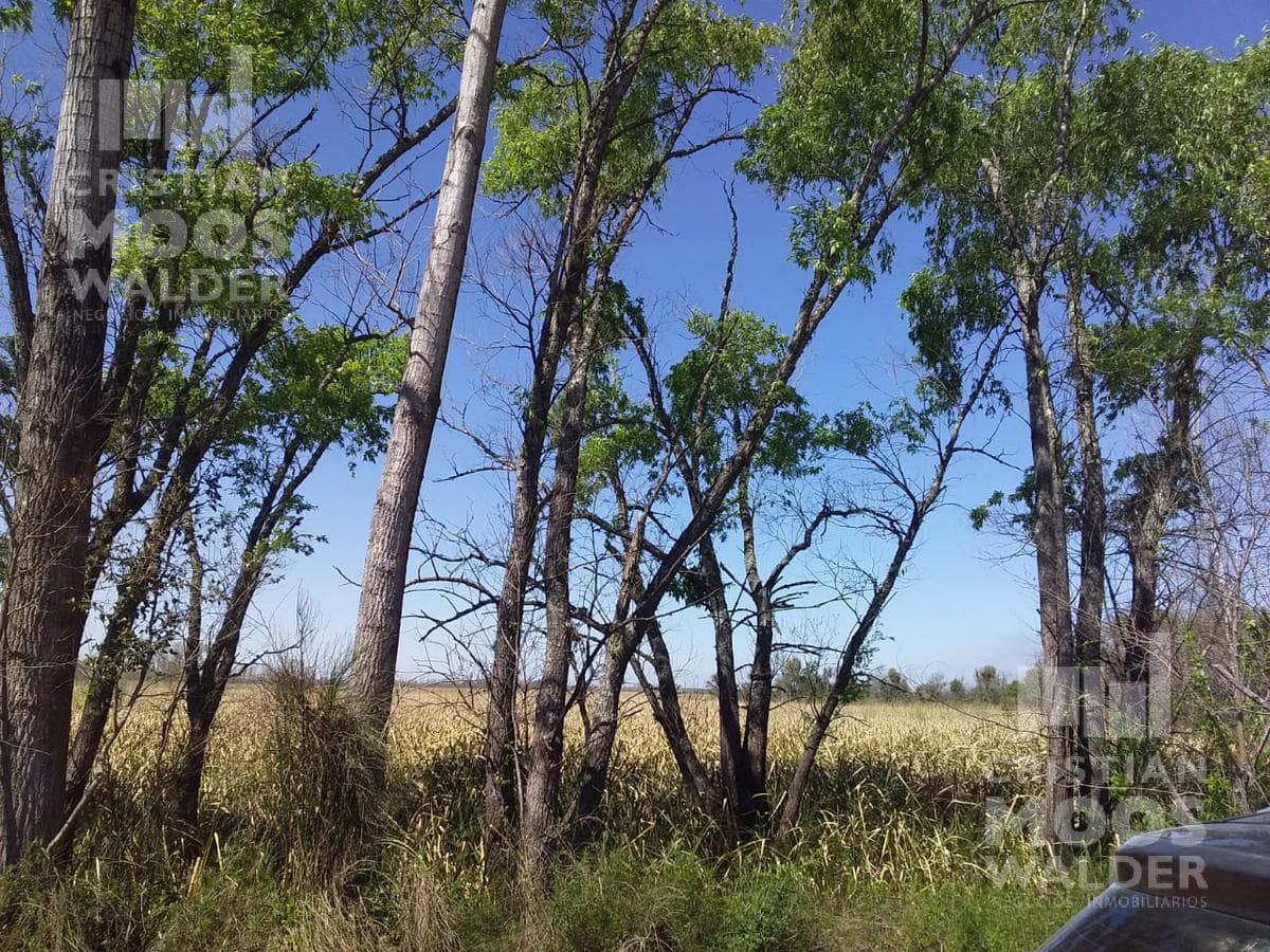 Land - Paraná Las Palmas - Cristian Mooswalder - Real Estate Business