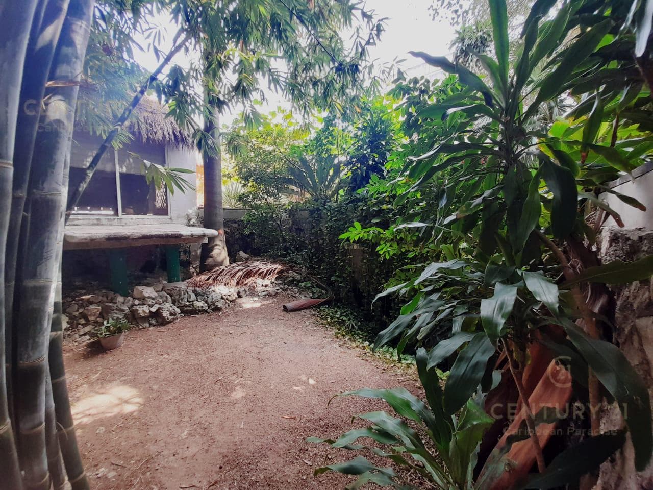 4-Bedroom House for Sale in Downtown Playa del Carmen | Ideal for Investment | P4101
