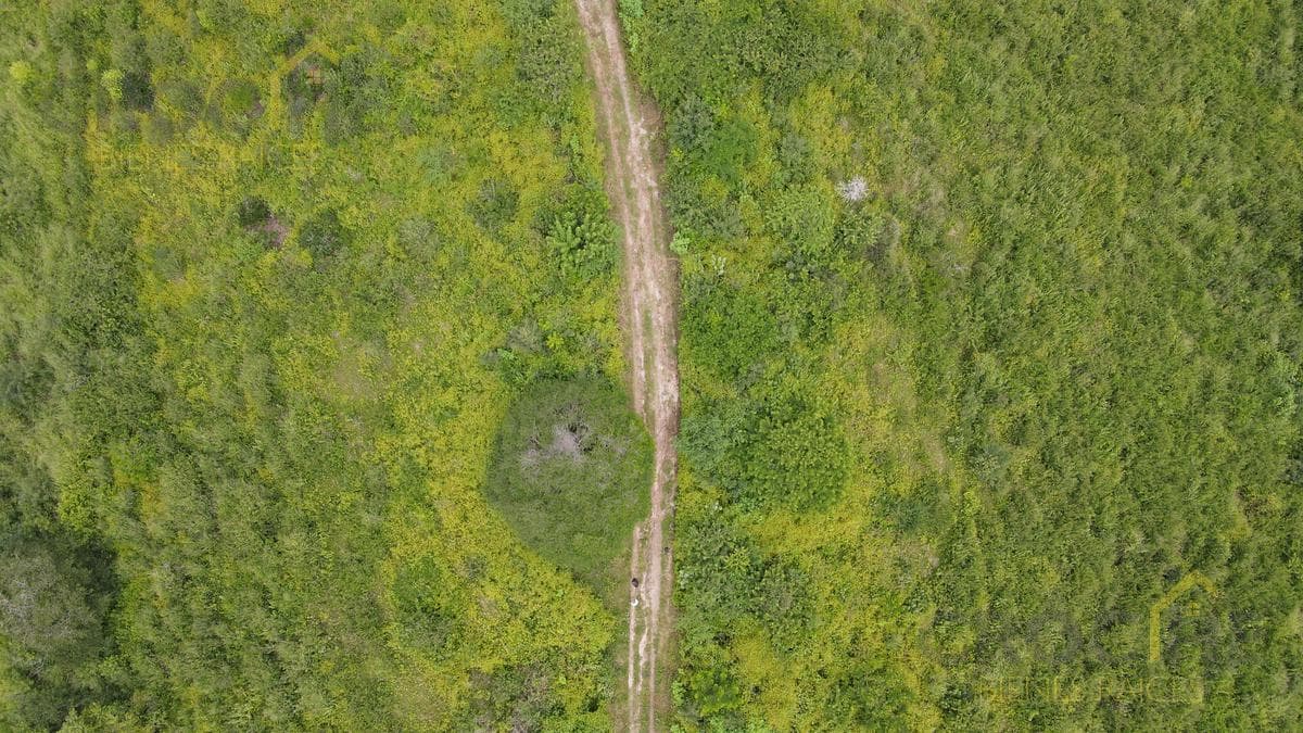 60-hectare plot of land with two rivers in Cerro Gordo, Veracruz
