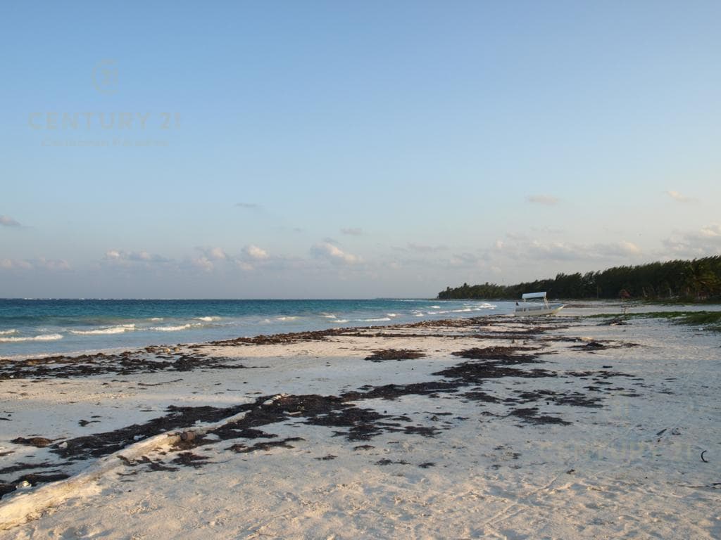 Oceanfront Residential Lot for Sale in Bocapaila | Ideal for Development | P1277
