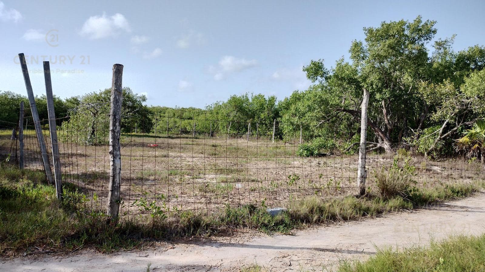 Commercial Lot for Sale in Holbox | Develop Eco-Luxury Villas in the Mexican Caribbean | P4068