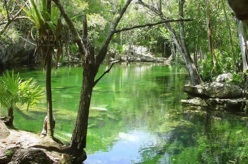 Excellent 1-hectare lot within the Riviera Maya gated community P2780