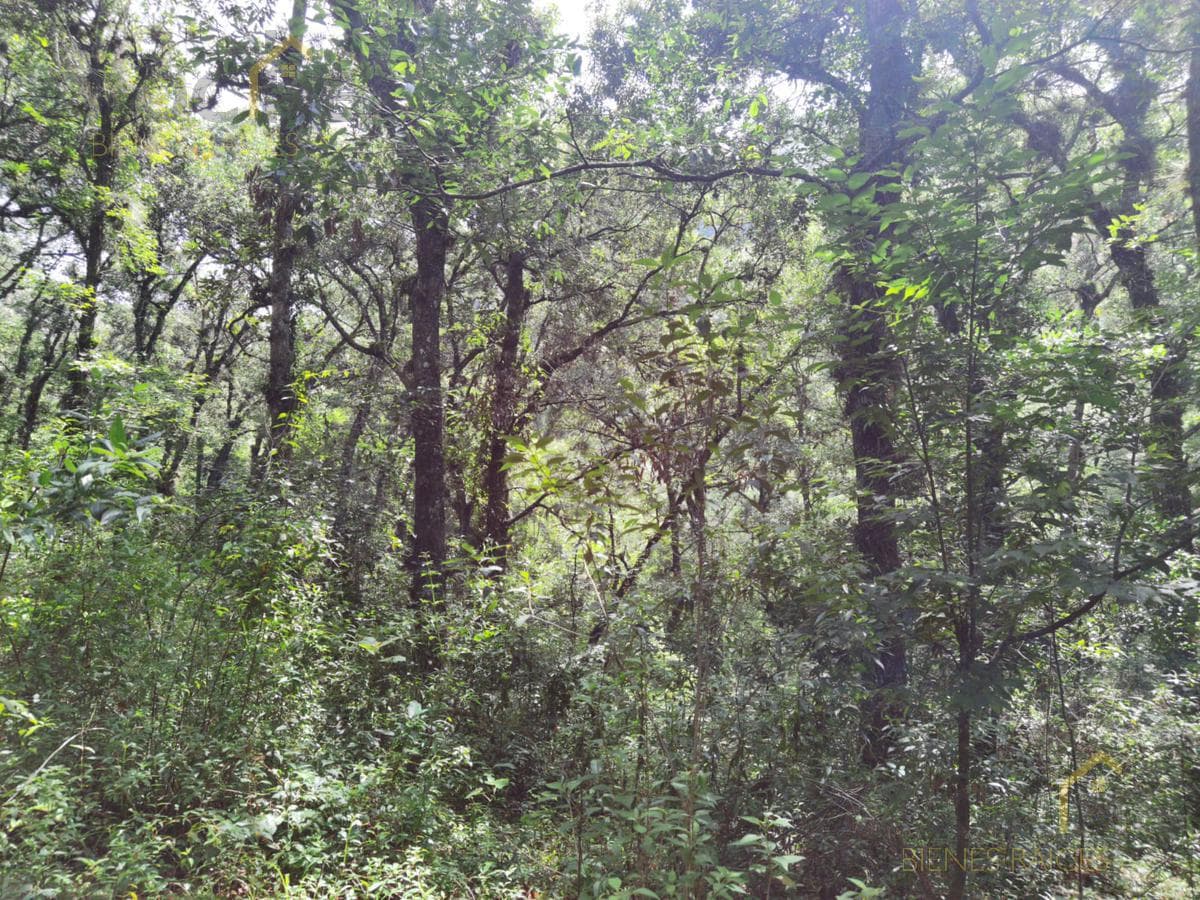 Land for sale in Coacoatintla, Veracruz, at KM 9, with stone quarrying operations