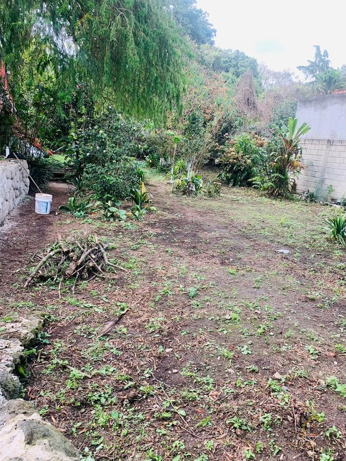 Land for sale in Banderilla. See the downtown area